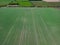 High level aspect aerial view of a crop of onions in the rural English countryside farmland