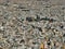 High Level View of Central Athens Buildings, Greece