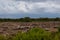 High-lying area of Giara di Gesturi in a stormy day Sardinia - Italy.