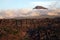 High mountain on the island in clouds at sunset with vineyards in the foreground.Typical landscape of the Azores