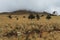 High mountain landscape of Nevado de Toluca