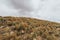 High mountain landscape of Nevado de Toluca, Mexico, its turquoise lagoons