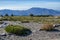 High mountain landscape in Sierra Nevada of grasslands, mountains and a group of pine trees