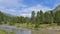 High mountain overview, with stone pine and flowing river