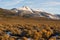 High Mountain Peak Great Basin Region Nevada Landscape