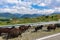 The high-mountain road to the tract of Jily-Su. Caucasus. Kabardino-Balkaria. Russia.