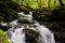 High mountain stream in forest