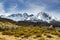 High mountains with snow on top in the winter, beautiful skies and clouds. The grass is yellow in Mount Cook Rd