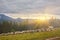 High in the mountains at sunset shepherds graze cattle among the panorama of wild forests and fields of the Carpathians