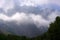 High mountans with forest in fog and clouds