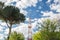 High network telecommunication tower and green trees