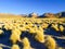 High peaks and typical grass clumps in Cordillera de Lipez, Andean Altiplano, Bolivia, South America