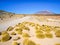 High peaks and typical grass clumps in Cordillera de Lipez, Andean Altiplano, Bolivia, South America