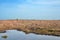 High pennine moorland on midgley moor in calderdale with a small pond reflecting the sky surrounded by cut bracken and a standing