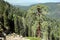 High plateau with redwood in Sequoia National Park