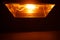 High pressure sodium lamp HPS orange light