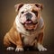High-quality 8k Photorealistic Bulldog Digital Drawing In Png Format