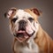 High-quality 8k Photorealistic Digital Drawing Of Bulldog With Brown Shorthair Fur