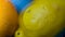 High quality abstract close-up of a bright colourful natural bacground with lemons and oranges giving orange blue and yellow