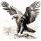 High-quality Black And White Vector Illustration Of A Wedge-tailed Eagle