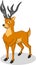 High Quality Deer Vector Cartoon Illustration