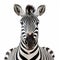 High-quality Digital Print Of Zebra: Front View On White Background