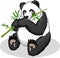 High Quality Giant Panda Cartoon Vector Illustration