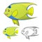 High Quality Queen Angel Fish Cartoon Character Include Flat Design and Line Art Version