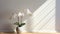 High-quality Realistic Photography Of White Orchids In An Empty Living Room