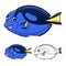 High Quality Regal Blue Tang Cartoon Character Include Flat Design and Line Art Version