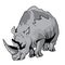 High Quality Rhinoceros Vector Cartoon