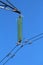 High quality tall glass power line utility insulators holding black electrical wires on strong metal utility pole on clear blue