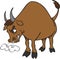 High quality vector animated angry bull in brown color