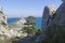 High relict tree juniper in coastal cliffs