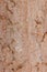 High res close up grunge semi textured unfinished pale brownish concrete wall background