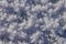 High res detailed hoar frost sparkling white pure with rose-petal like crystals flower blooms texture background close up