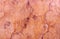 high res Intense elegant salmon pink shaded smooth painted stucco wall with marble patterns background close up
