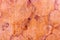 high res Intense elegant salmon pink shaded smooth painted stucco wall with marble patterns background extreme close up