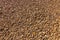 High res natural pale multi earth tone sandstone pebbles, texture background close up