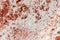 High res pale intense gradient old weathered rich white uneven textured stone wall with mojo red random spots, texture