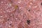 high res pale pink multi tones semi smooth natural stone texture close up background