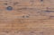 High res of unfinished rough pale brown horizontal wooden plank