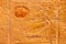 High Res well preserved ancient red limestone Egyptian relief with a duck and the sun