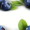 High resolution close up of a cluster of ripe blueberries isolated on a pristine white background