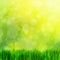 High resolution image of fresh green grass, nature blur