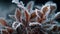 High Resolution Macro Shot Of Frost Crystals On A Snapdragon