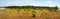 High resolution Tsavo east national park panorama