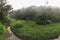 High resolution wide angle panorama - calm morning in tropical r