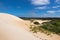 High sand hill ridge and drought tolerant plants with blue sky a