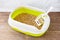 High sided cat litter tray with wooden pellets and scoop on a brown wooden floor. New green cat box near the wall. Toilet for